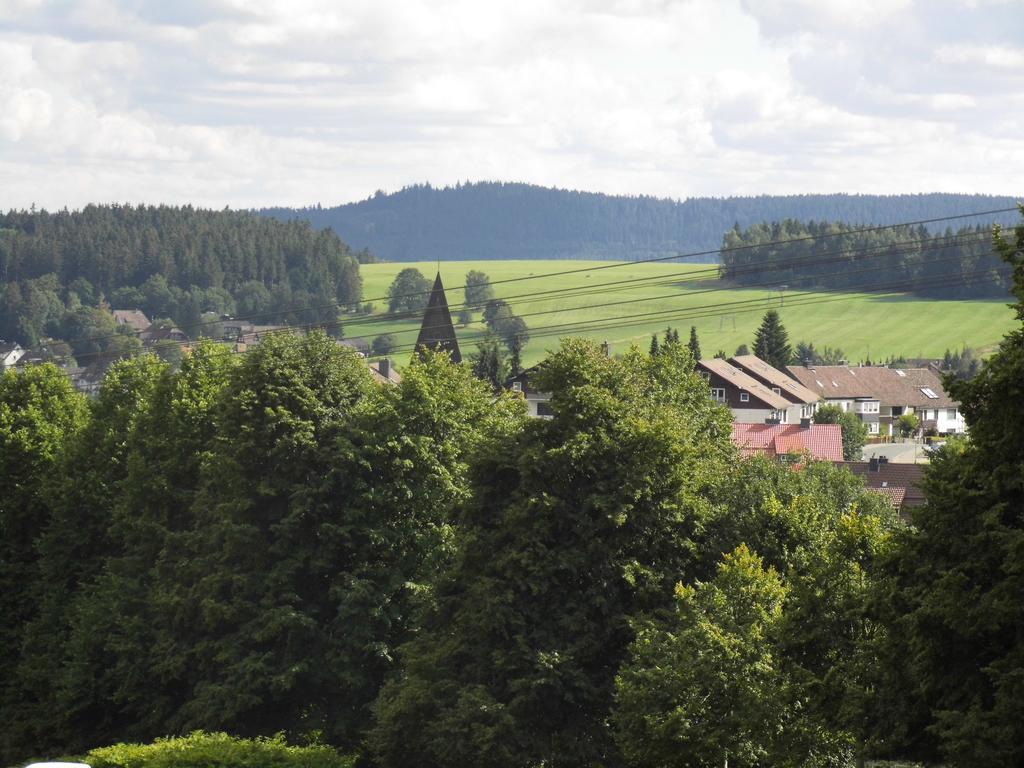 Fewo Schroeder - Harzflair - Inklusive Bettwaesche Braunlage Exterior foto