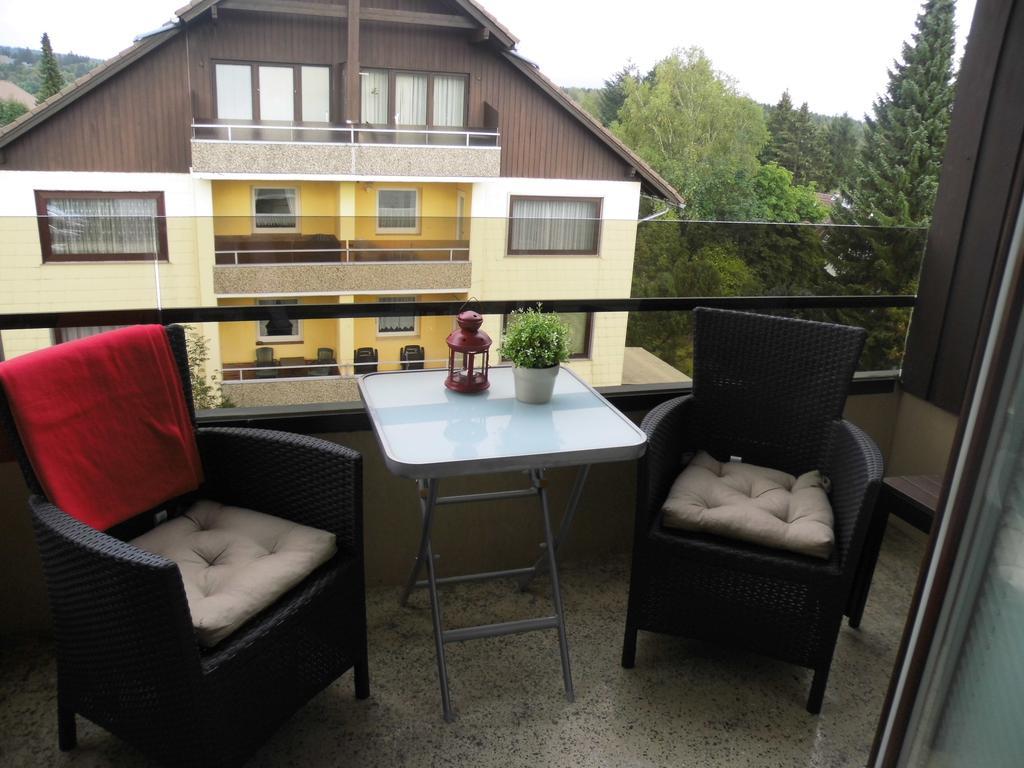 Fewo Schroeder - Harzflair - Inklusive Bettwaesche Braunlage Exterior foto
